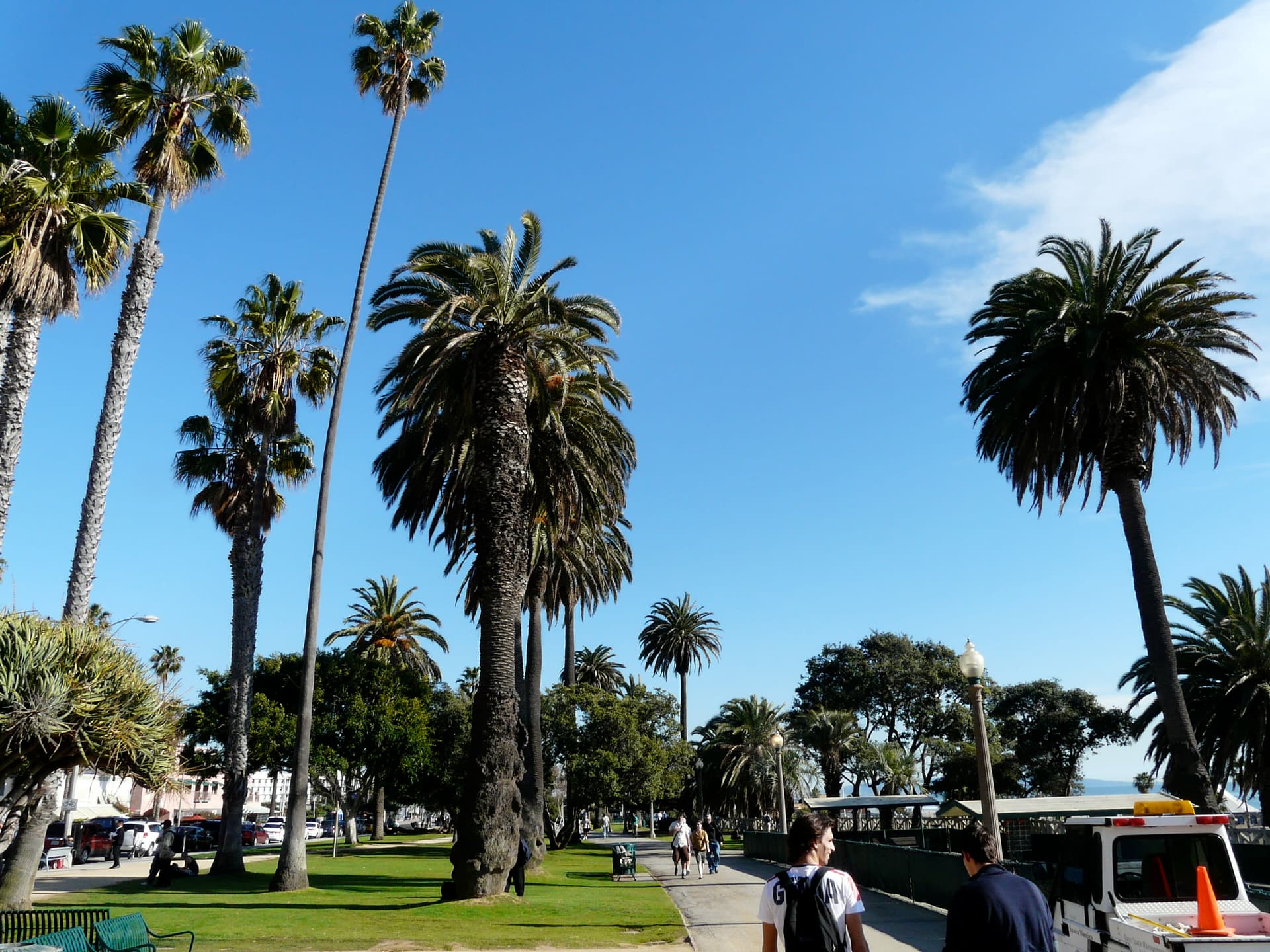 Image 8 — P1070058 copy 00 14 06 082 ddo1j9