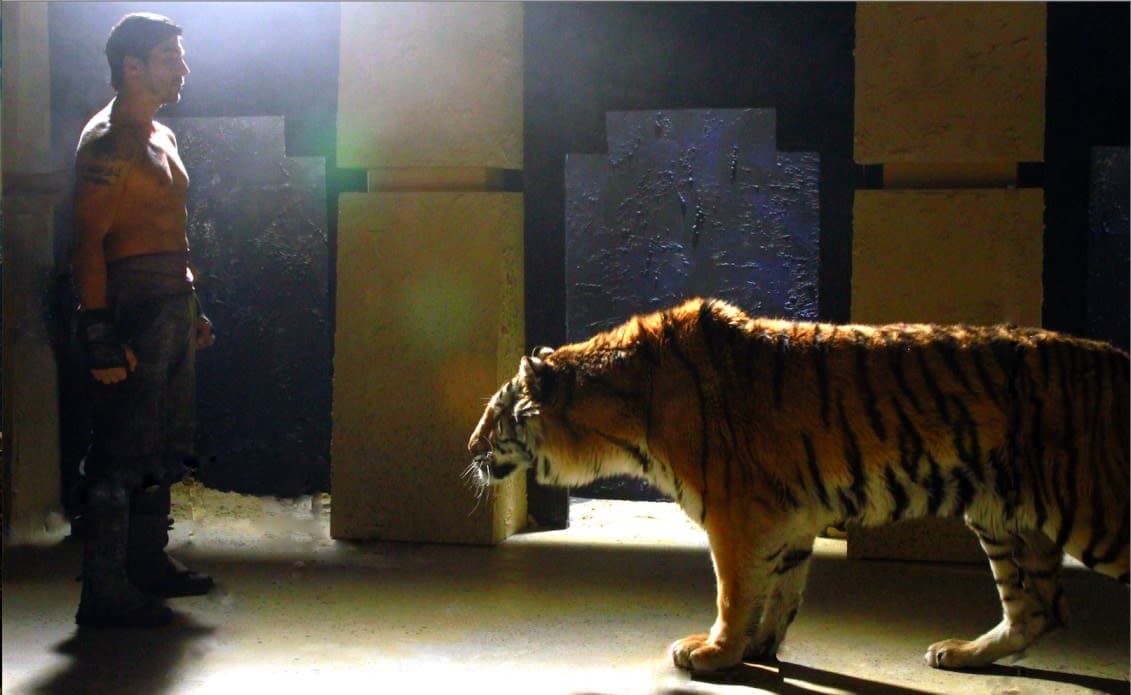 Image 8 — Screen Shot 2014 04 15 at 9.33.25 PM 1024 ppbyld